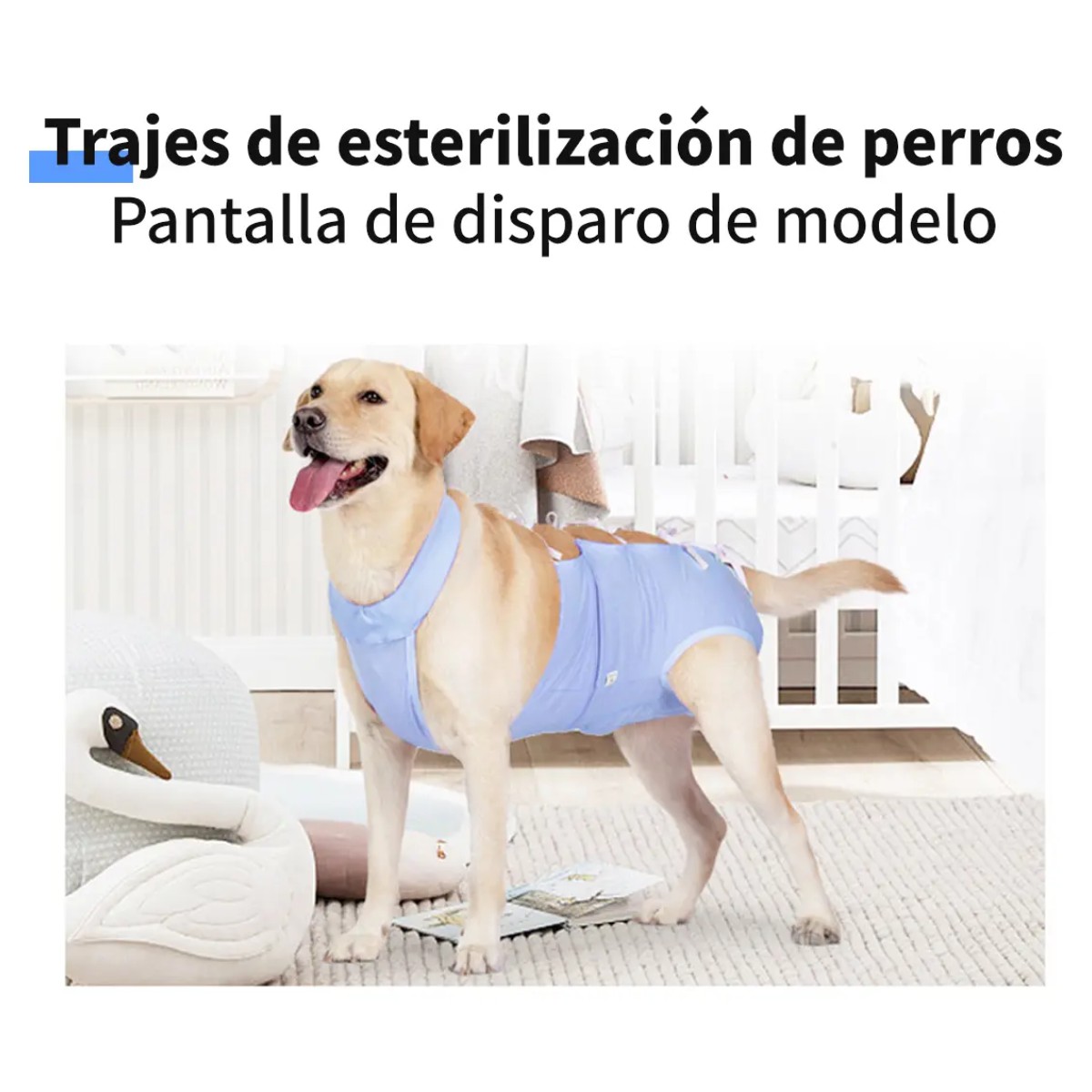 Faja Postoperatorio Esterilizada Para Perro Mediano Azul-M image number null