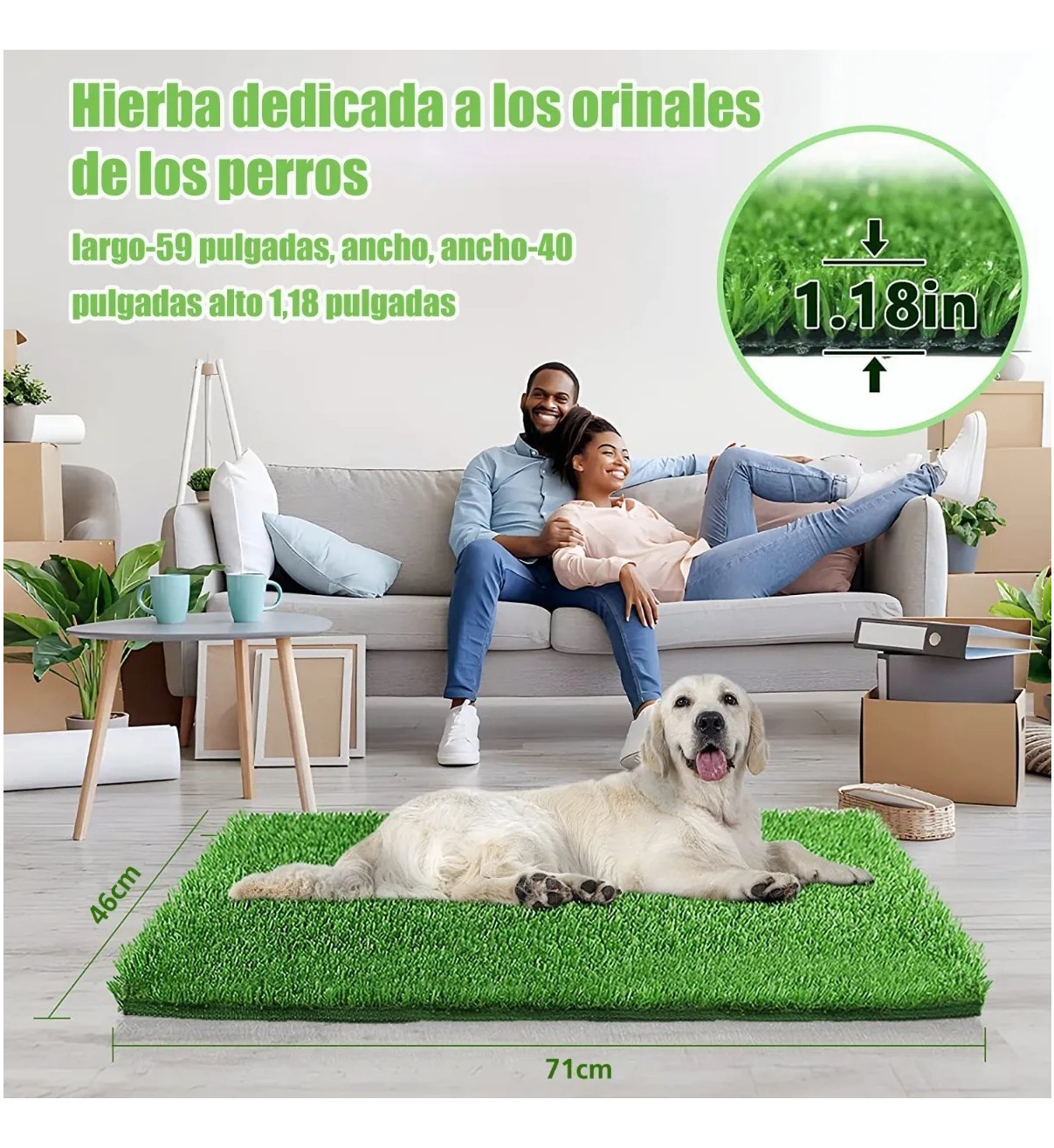 Tapete Entrenador Pasto Perro Transpirable Y Lavable 46x71cm Mlaubero image number null