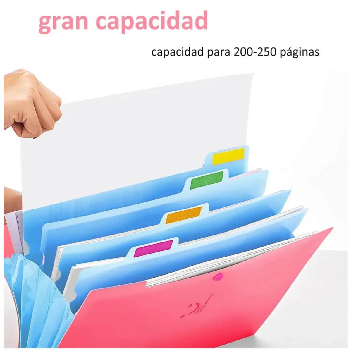 Carpeta Organizador De Archivos Expandible 2 Piezas Rosa+Azul image number null