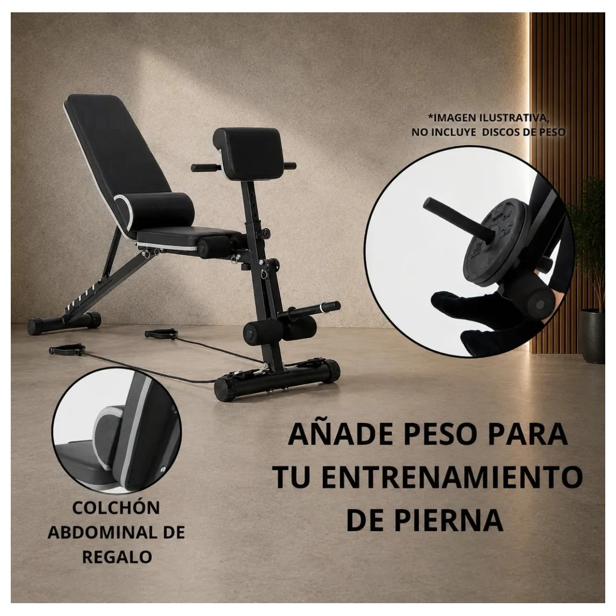 Banco Gym Multiposiciones Ajustable Brazo Y Pierna Negro image number null