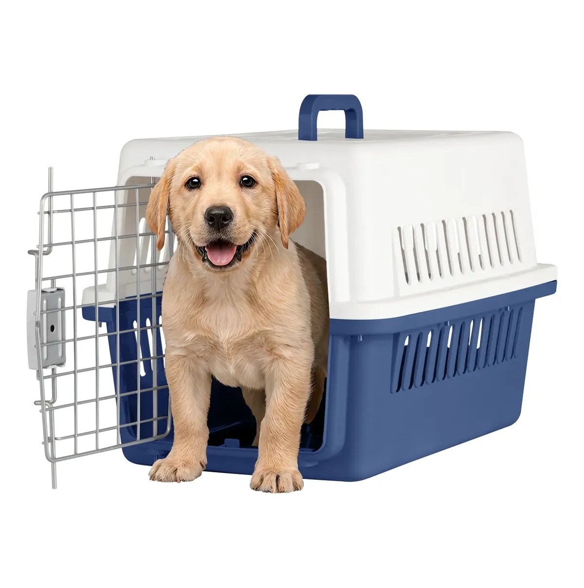 Jaula Transportadora Mascotas Gato Perro Azul/Blanco image number null