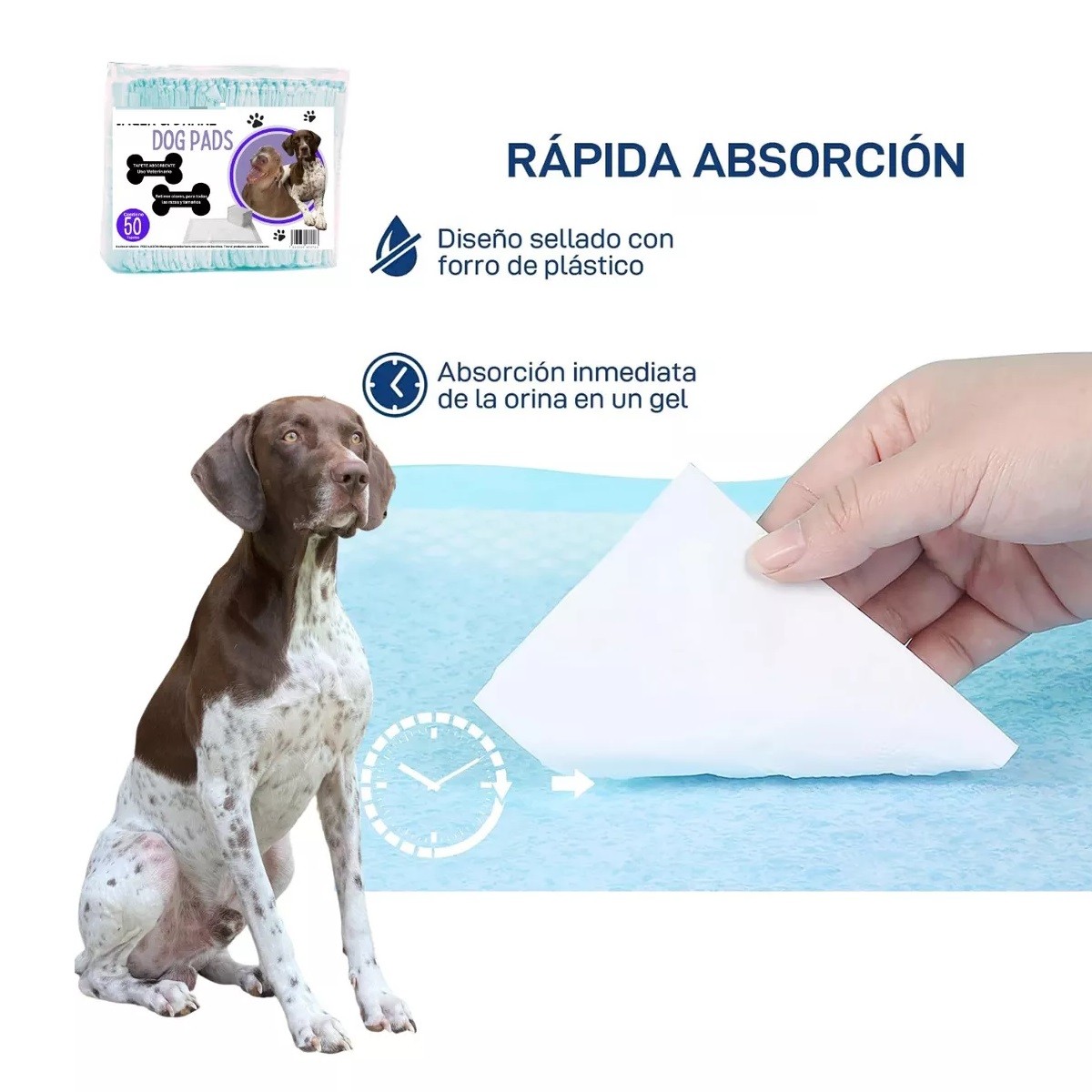 Paquete 50 Tapetes Entrenador Desechable Pa&ntilde;al Para Perro image number null