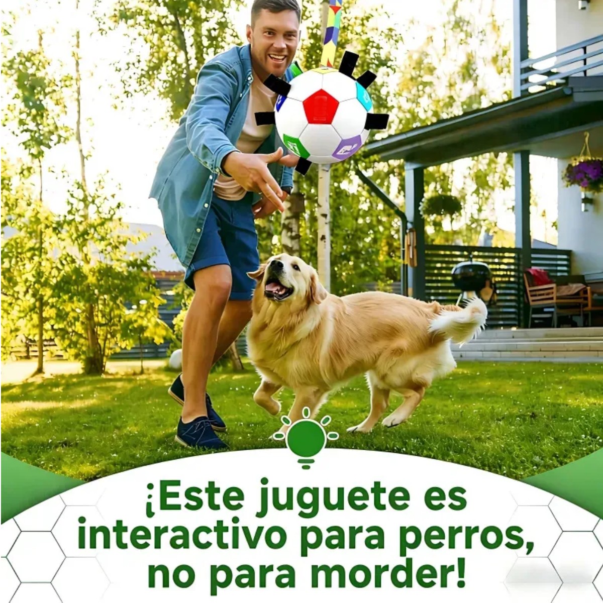 Pelota Interactiva Para Mascota Color Negro image number null