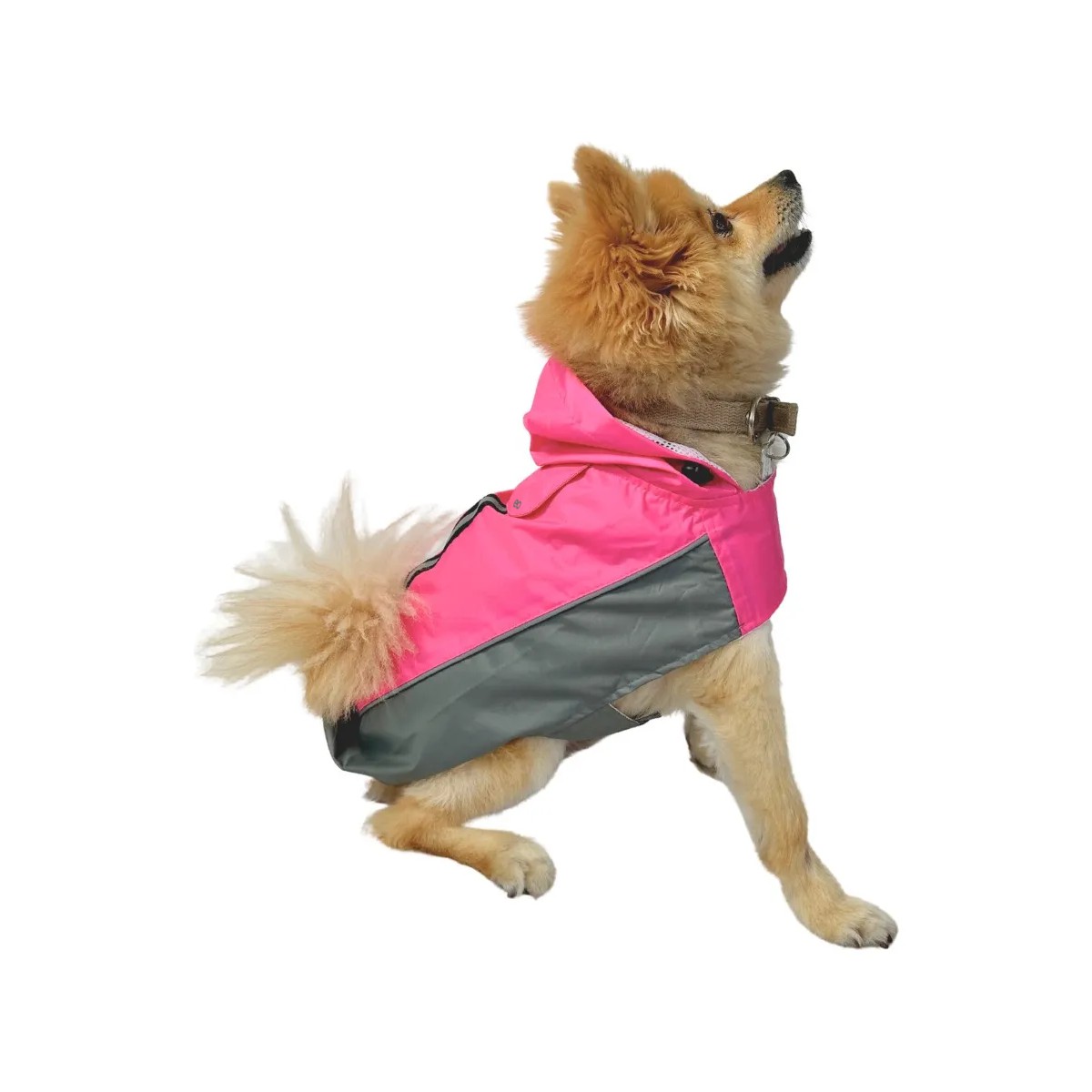 Impermeable Para Gato Perro Ropa De Lluvia Talla CH - Rosa image number null