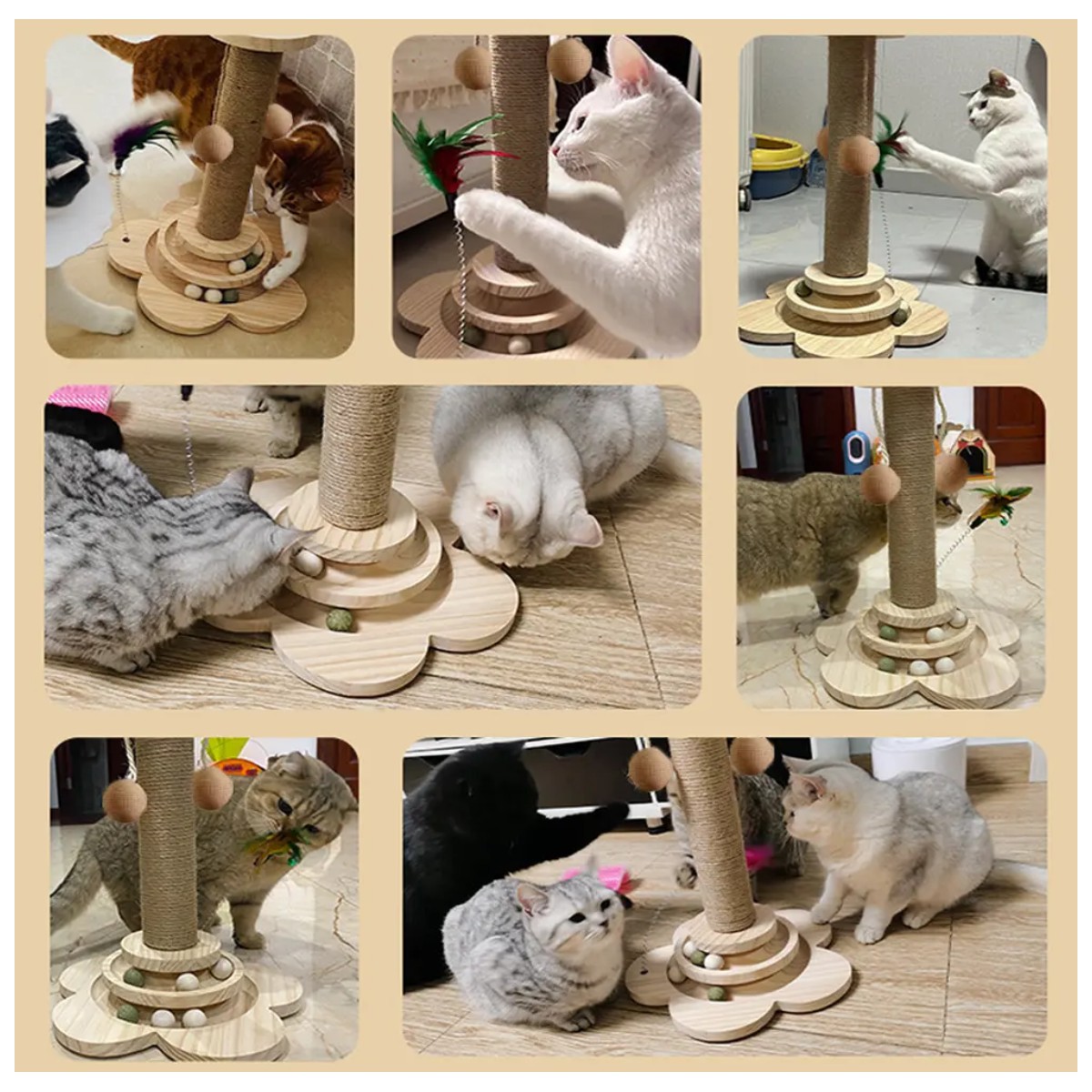 Rascador Gatos Con Sisal image number null