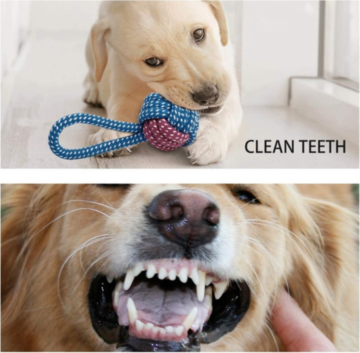 Juguetes De Cuerda Para Perro Morder Paquete De 7 Piezas image number null