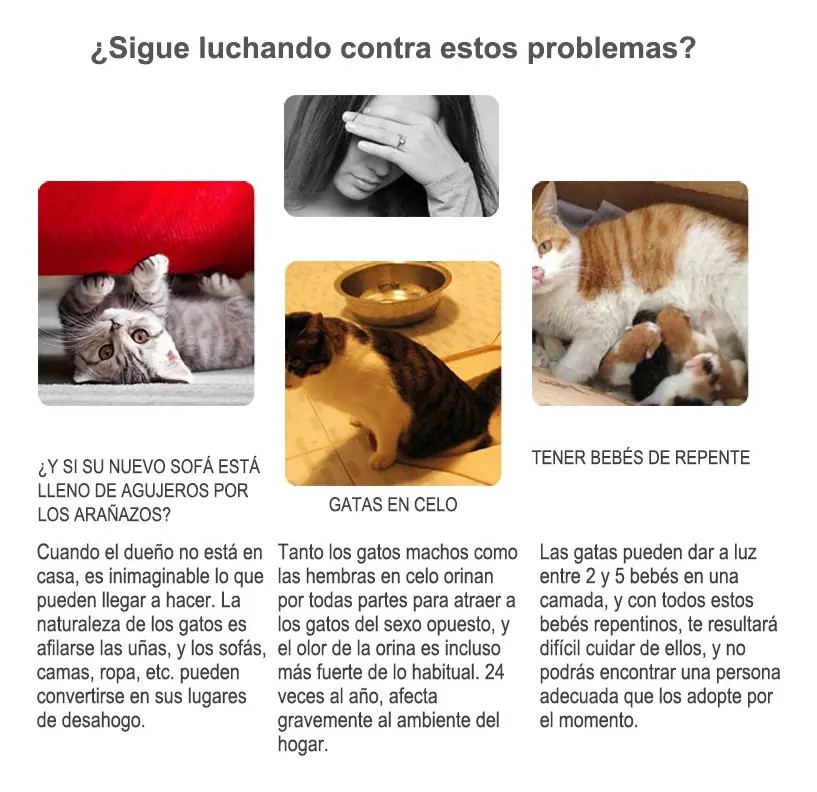 Jaulas Y Casas Combinada Grande Para Gatos De Interior image number null