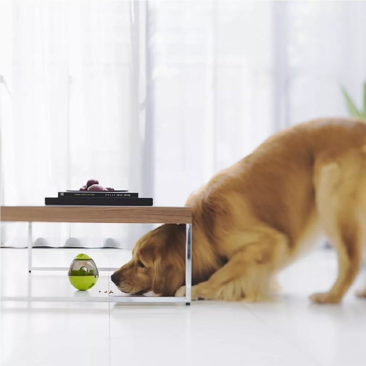Juguetes Para Perros Pelotas De Juguetes Interactivos image number null
