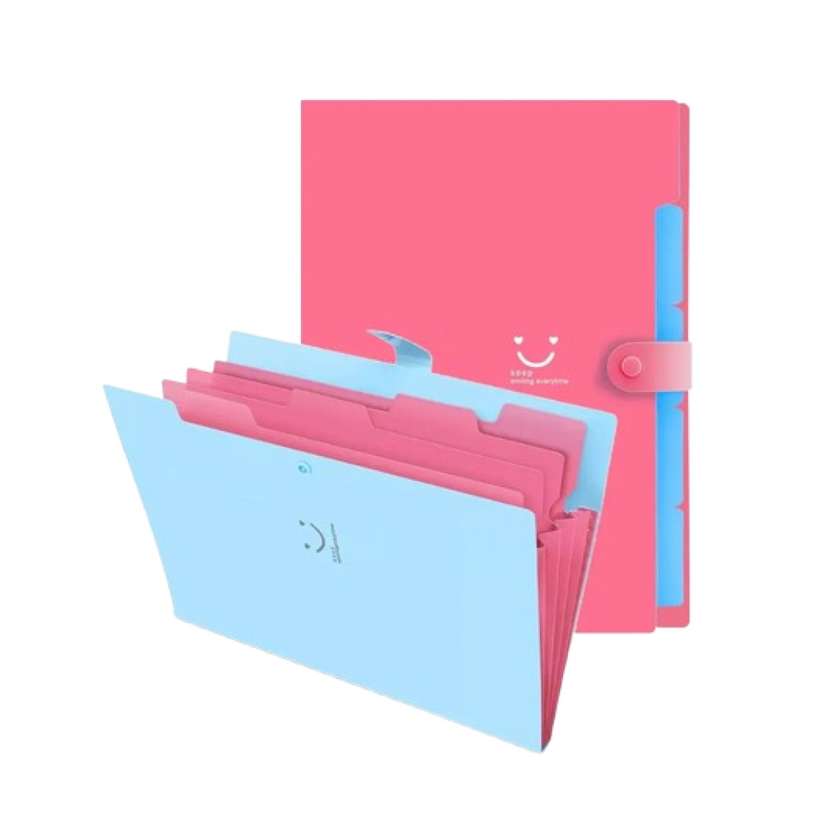 Carpeta Organizador De Archivos Expandible 2 Piezas Rosa+Azul image number null
