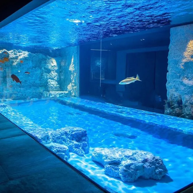 Pecera acuario 2mx50cmx 50cm 500 Litros Vidrio Acuario Marino O Dulce image number null