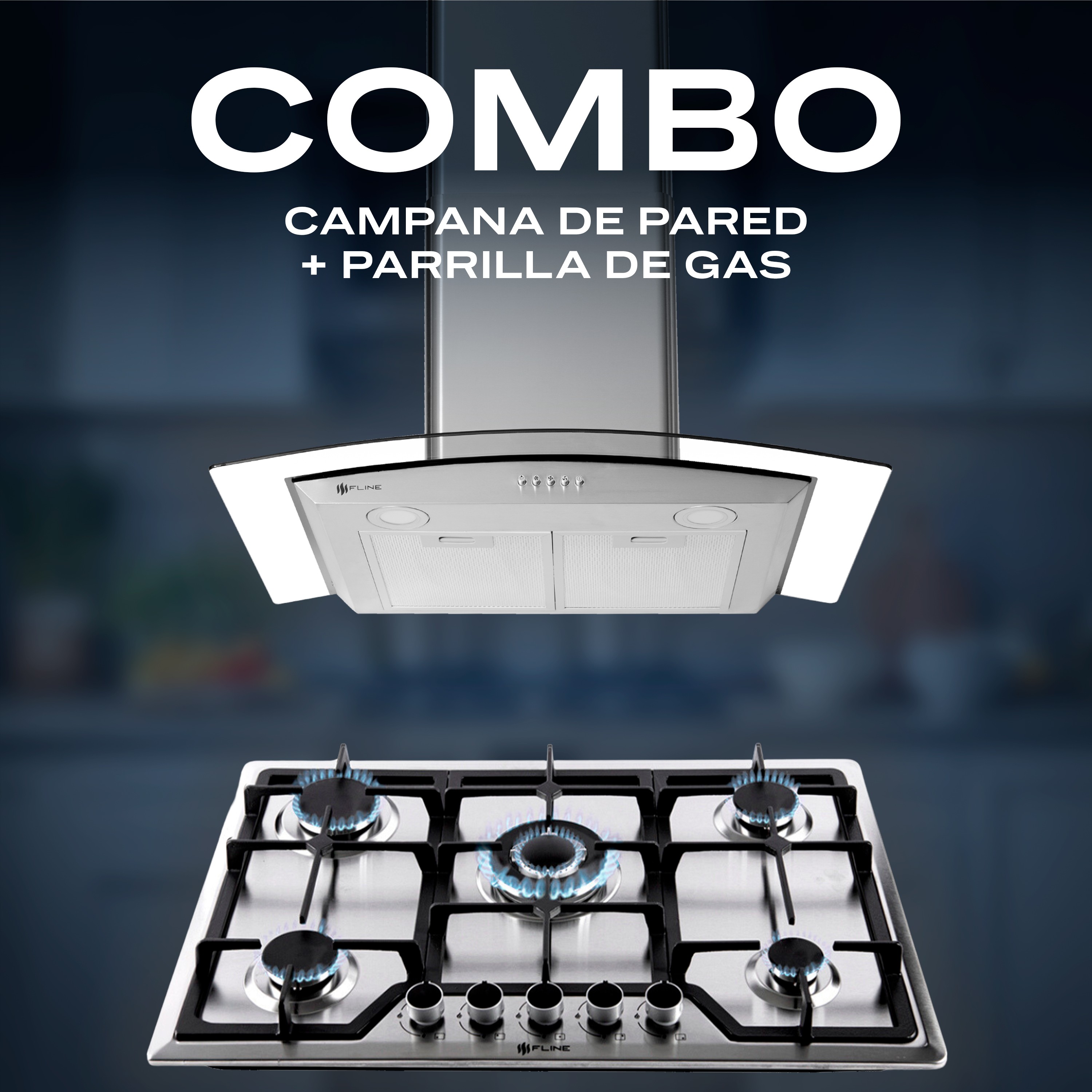 FLINE Combo parrilla de gas y campana extractora 76 cm Pared Botones gris LU5BE76 image number null