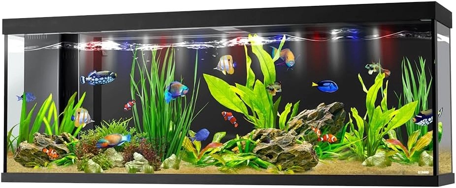 Pecera acuario 2mx50cmx 50cm 500 Litros Vidrio Acuario Marino O Dulce image number null