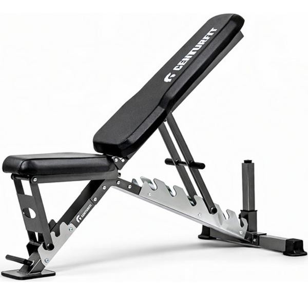 Banco Ejercicio Multiposiciones Profesional 500 Kg Gimnasio Centurfit image number null