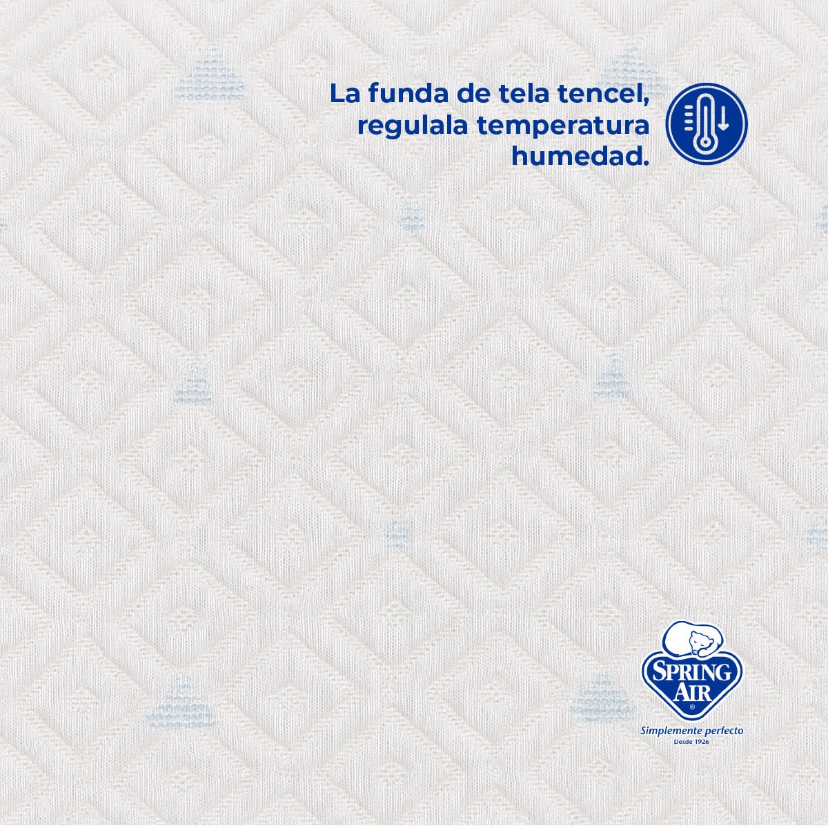 Pack 2 Almohadas Cool Sleep ,Memory Foam, Hipoalerg&eacute;nica, Fresca y Transpirable image number null