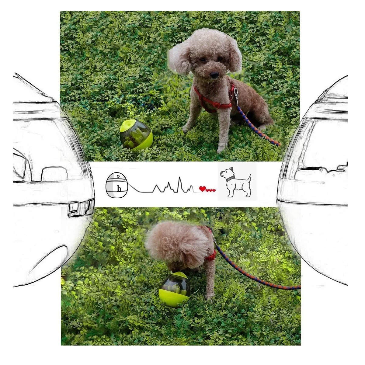 Juguetes Para Perros Pelotas De Juguetes Interactivos image number null