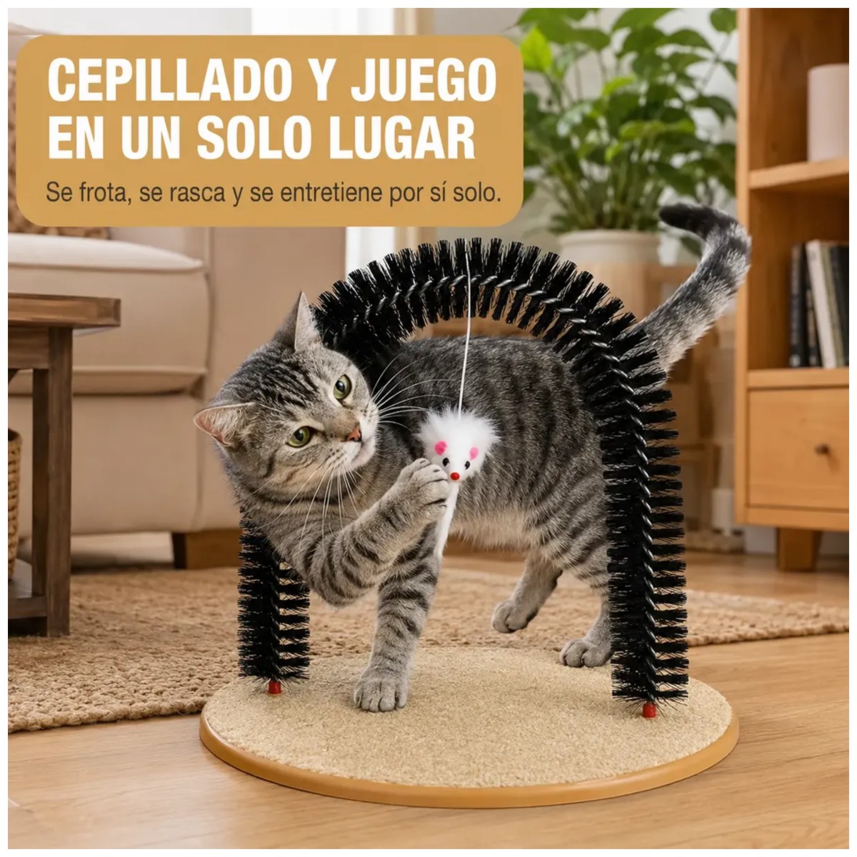 Juguete Para Gato Masajeador Rascador Arco Auto Con Cepillo image number null