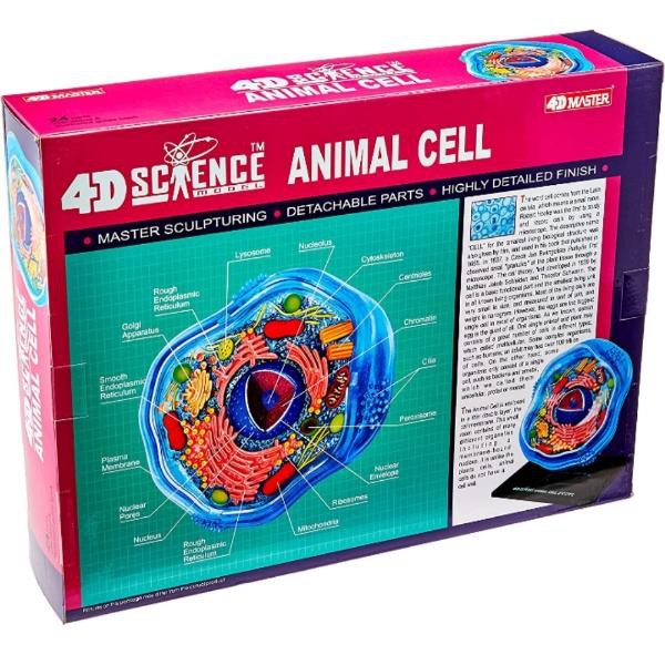 Modelo de la anatom&iacute;a de una c&eacute;lula animal did&aacute;ctico image number null