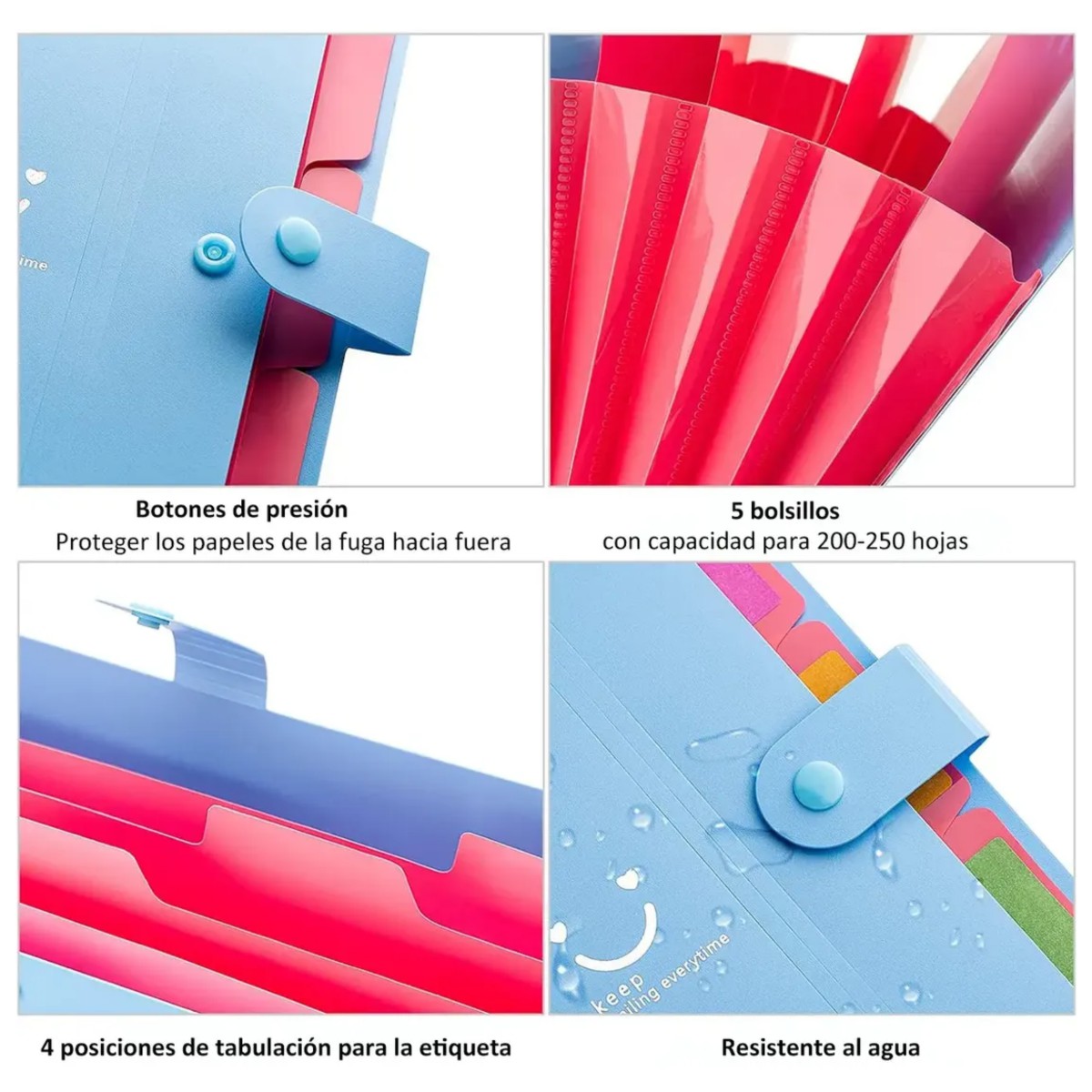 Carpeta Organizador De Archivos Expandible 2 Piezas Rosa+Azul image number null