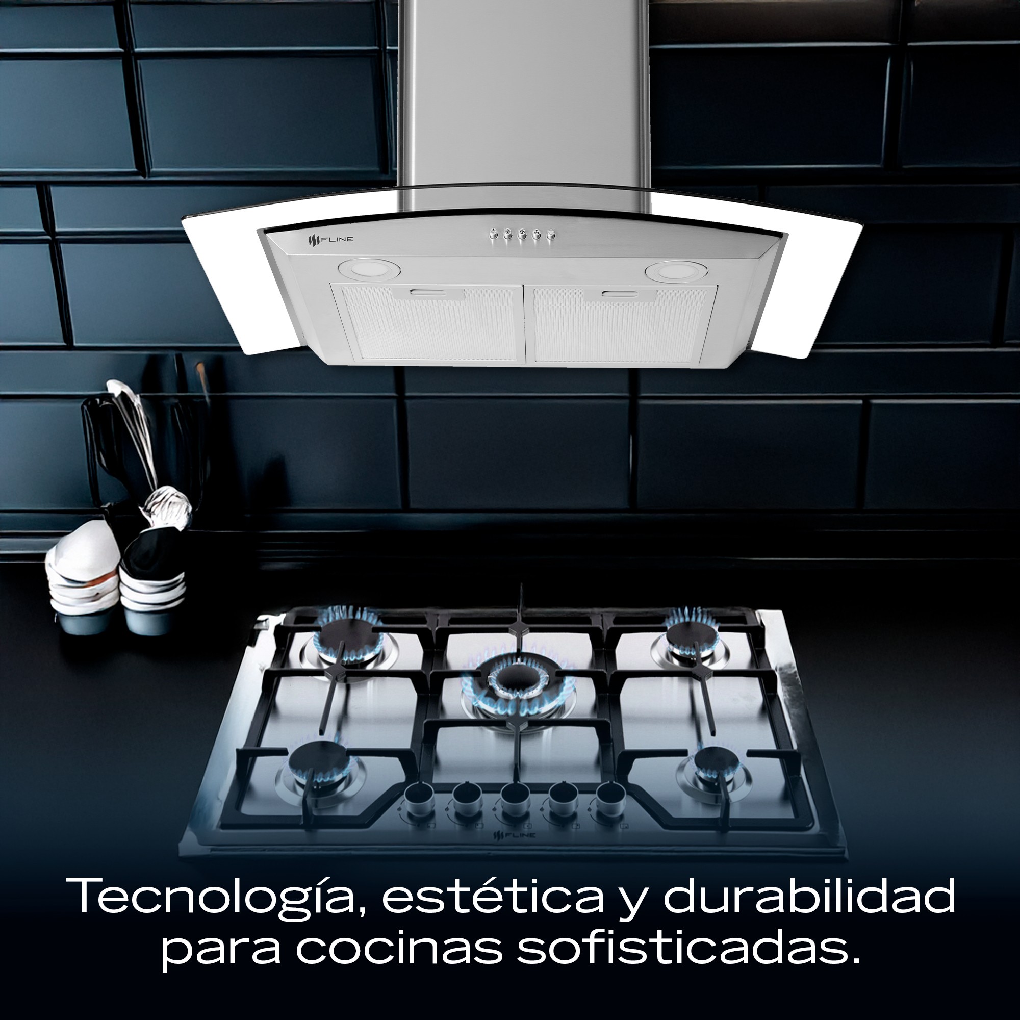 FLINE Combo parrilla de gas y campana extractora 76 cm Pared Botones gris LU5BE76 image number null