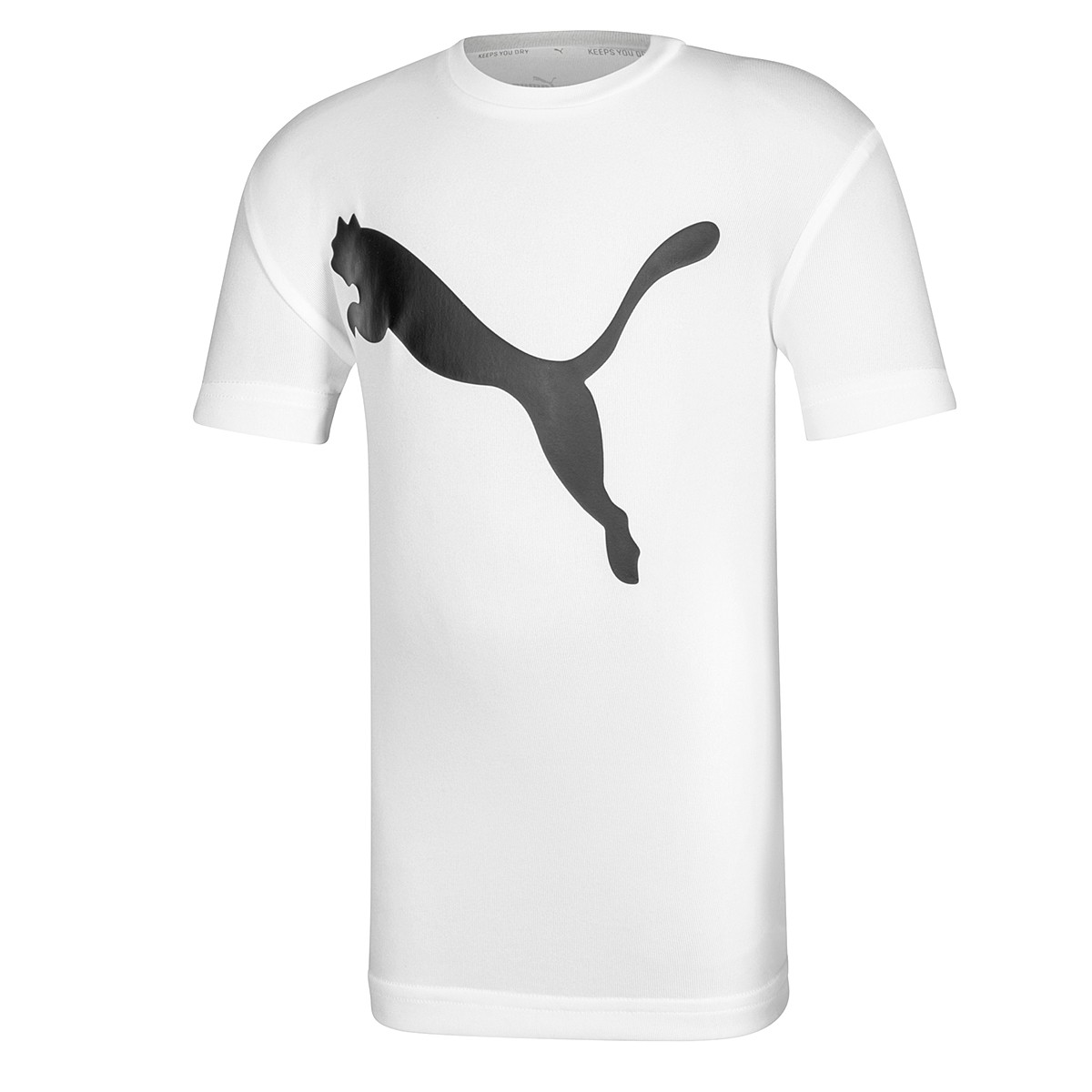 ROPA PLAYERA NI&Ntilde;O PUMA Active Tee G BLANCO image number null