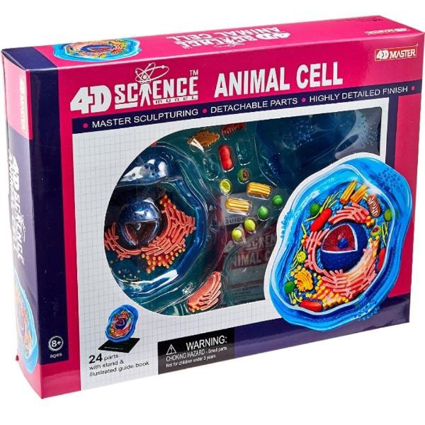 Modelo de la anatom&iacute;a de una c&eacute;lula animal did&aacute;ctico image number null
