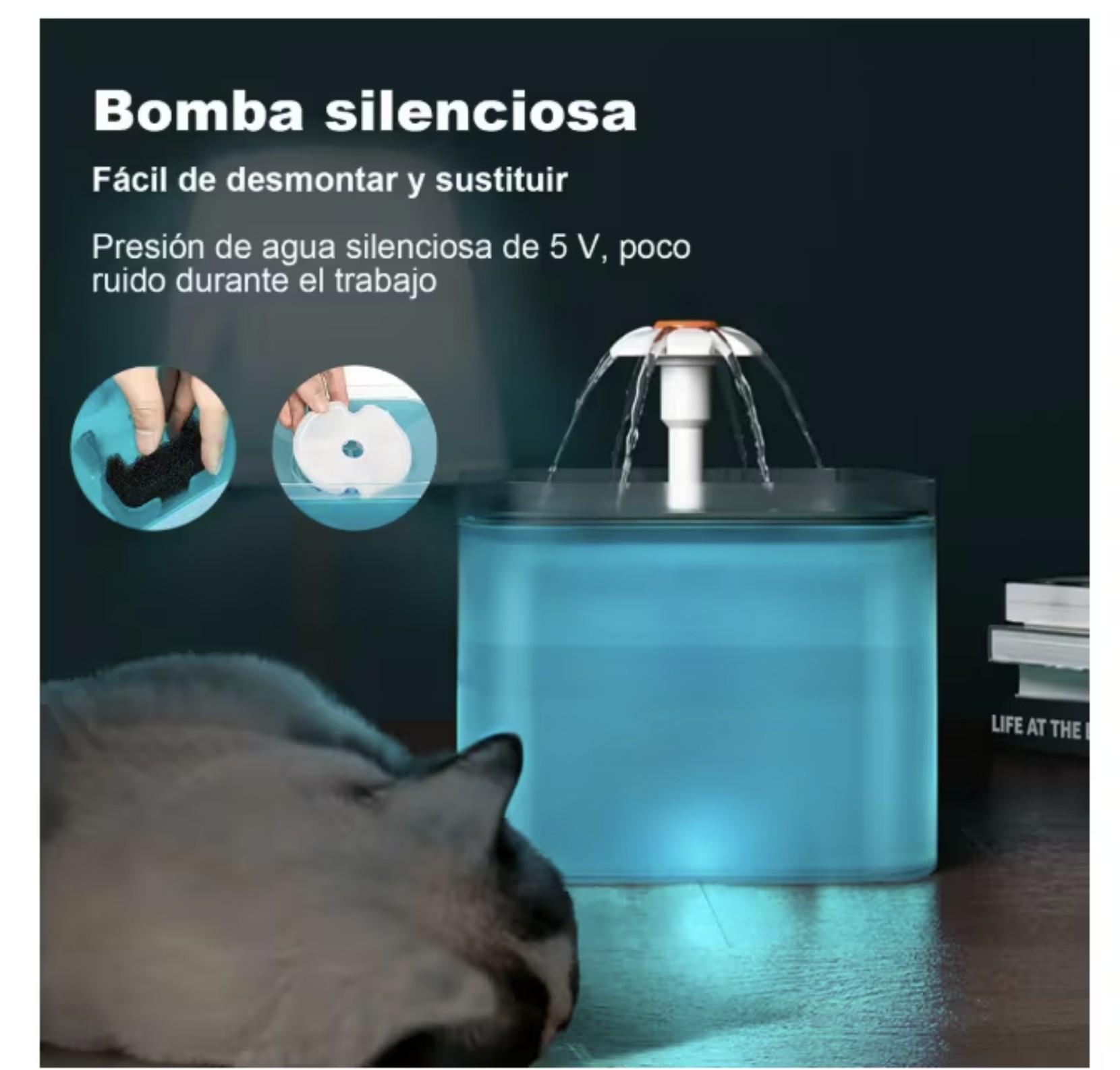 Fuente De Agua Autom&aacute;tica 2l Con Filtro Para Perros Y Gatos Modelo Verde image number null