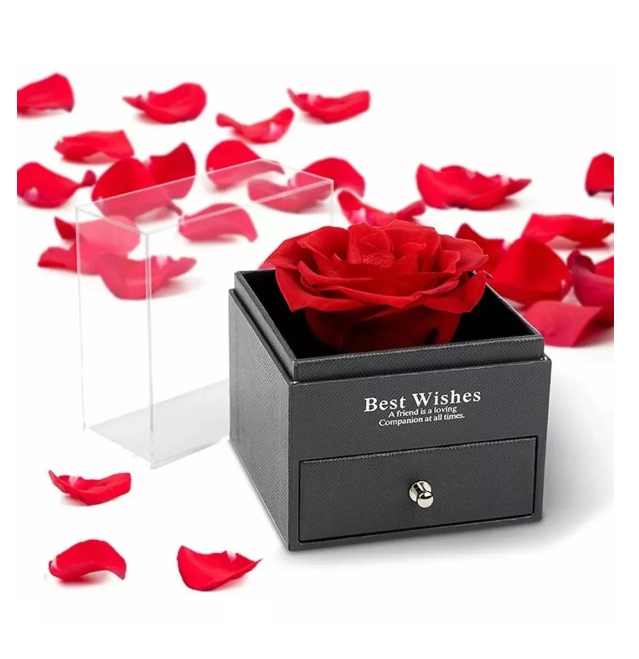 Rosa Eterna Real Preservada + Collar Te Amo En 100 Idiomas Estuche Negro image number null