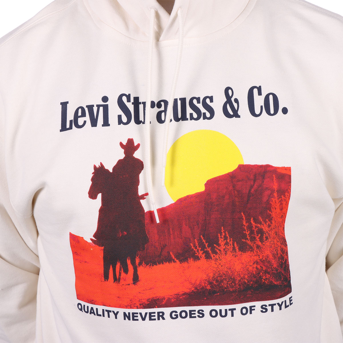 Sudadera con Capucha y Gr&aacute;fico Desierto Levi's para Hombre image number null