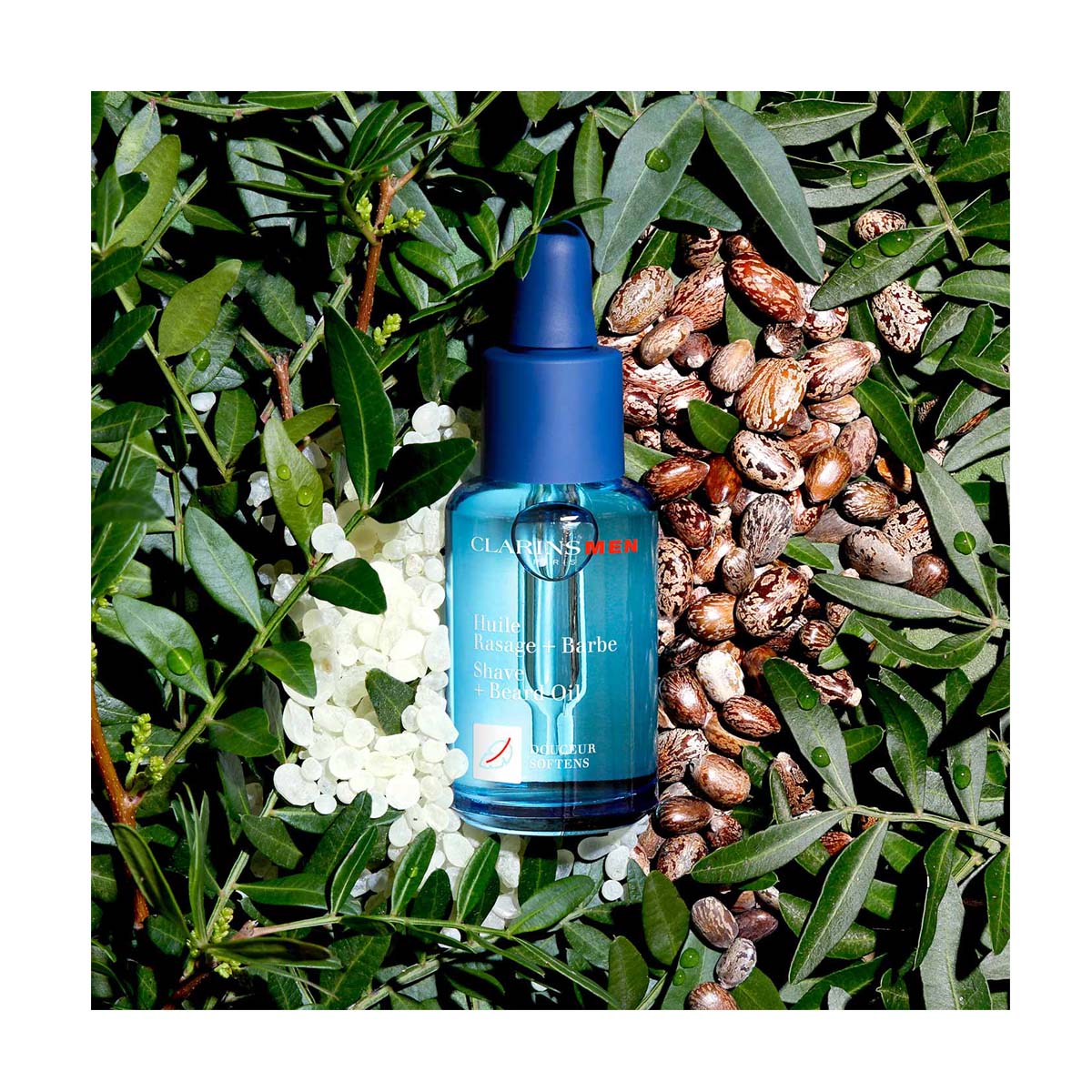 Tratamiento Aceite Suavizante para Barba Men 30ml CLARINS image number null