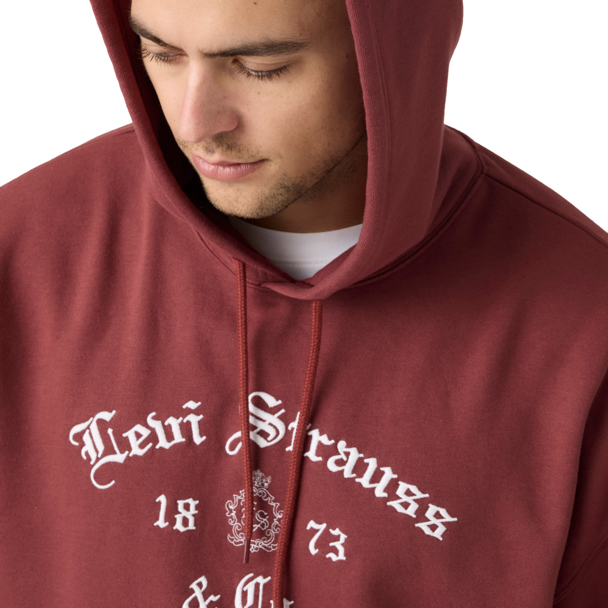 Levi&rsquo;s&reg; Sudadera con Capucha y Dise&ntilde;o Relaxed Fit para Hombre image number null