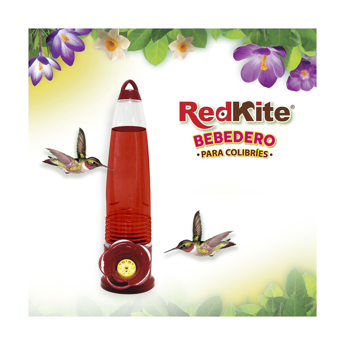 Bebedero CH para Colibries 125ml Redkite image number null