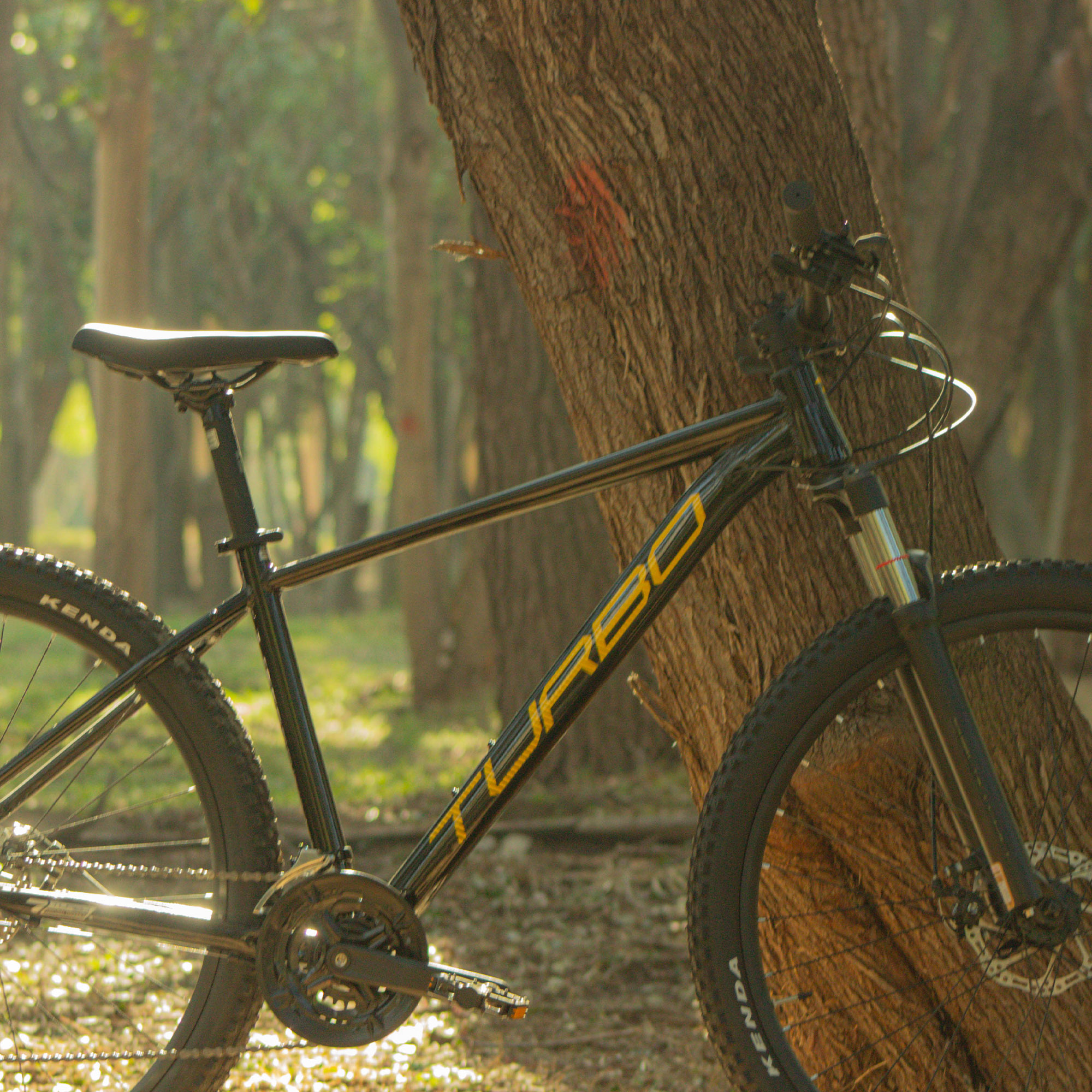 Bicicleta R-29 Turbo Mezquite Negro Met&aacute;lico image number null