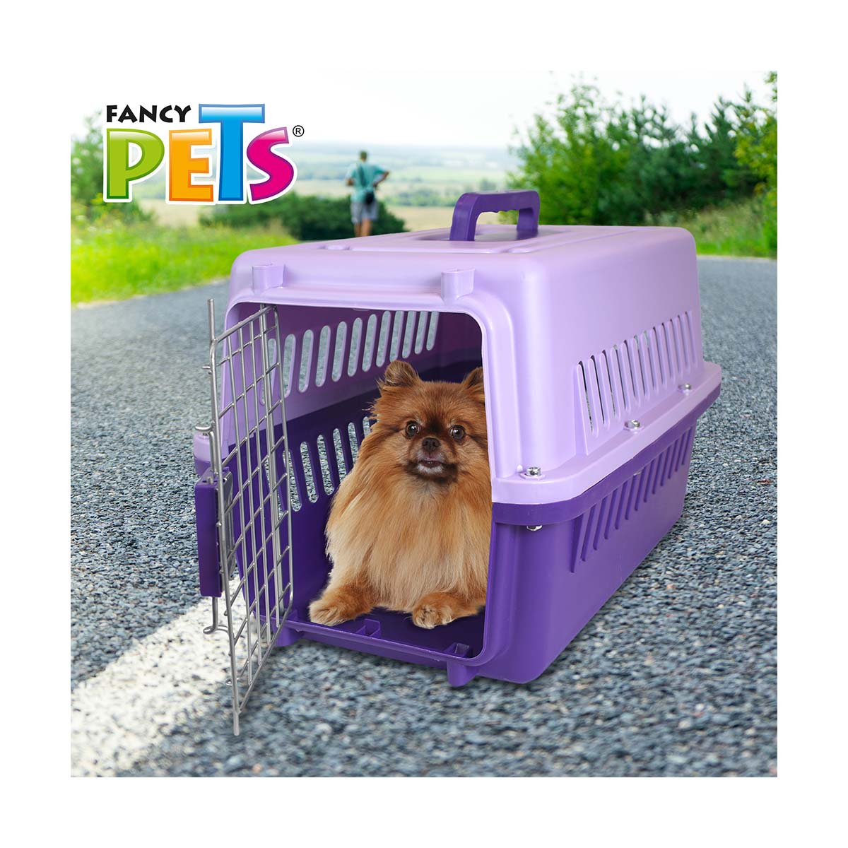 Transportadora Galery Morado Fancy Pets image number null