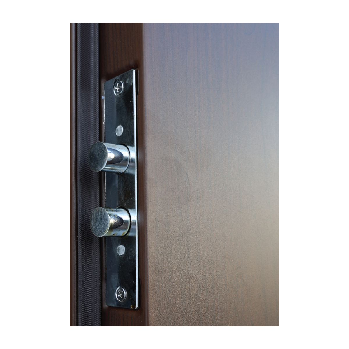 Puerta de Seguridad Xe Lumina Apertura Izquierda 95X215 Nogal image number null
