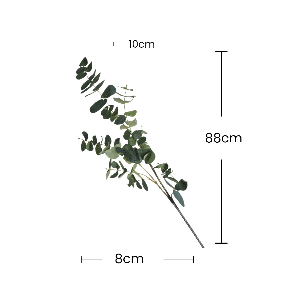Eucalipto Decorativo Home Nature image number null