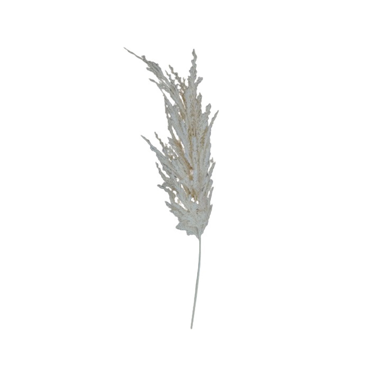 Pampas Spray Cream Vintage Home image number null