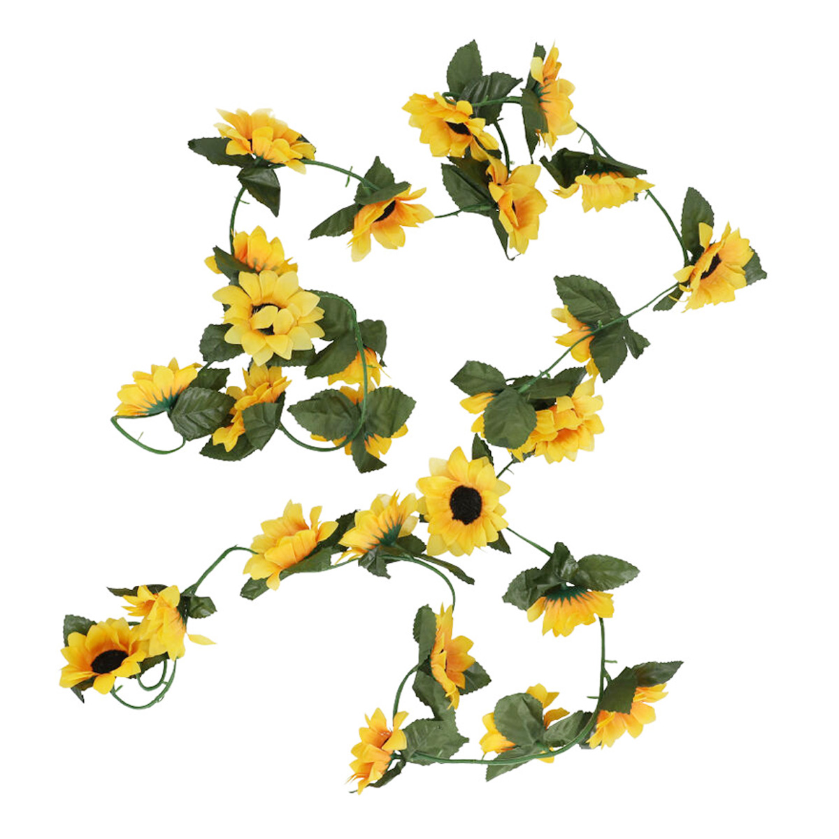 Gu&iacute;a Girasoles Shuang Zhi image number null
