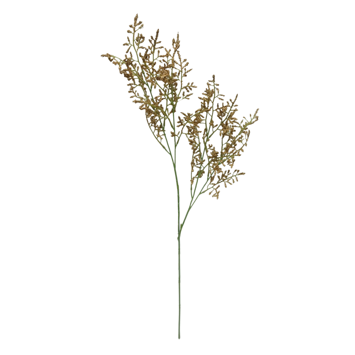 Follaje Lovergrass GAF image number null