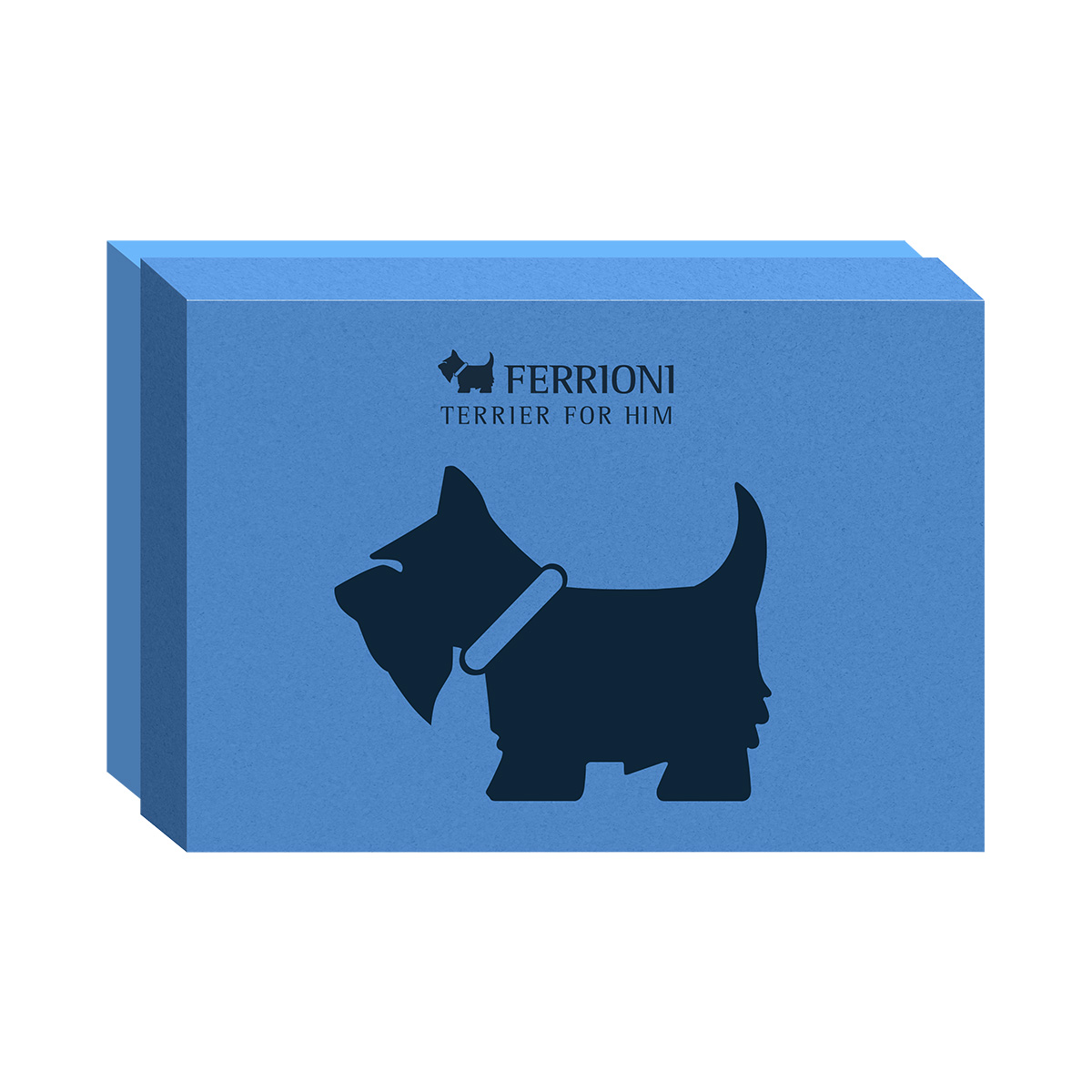 Estuche Ferrioni Terrier for Him Eau de Parfum 90 ml +  Eau de Parfum 10 ml + Deo 78 gr para Caballero image number null