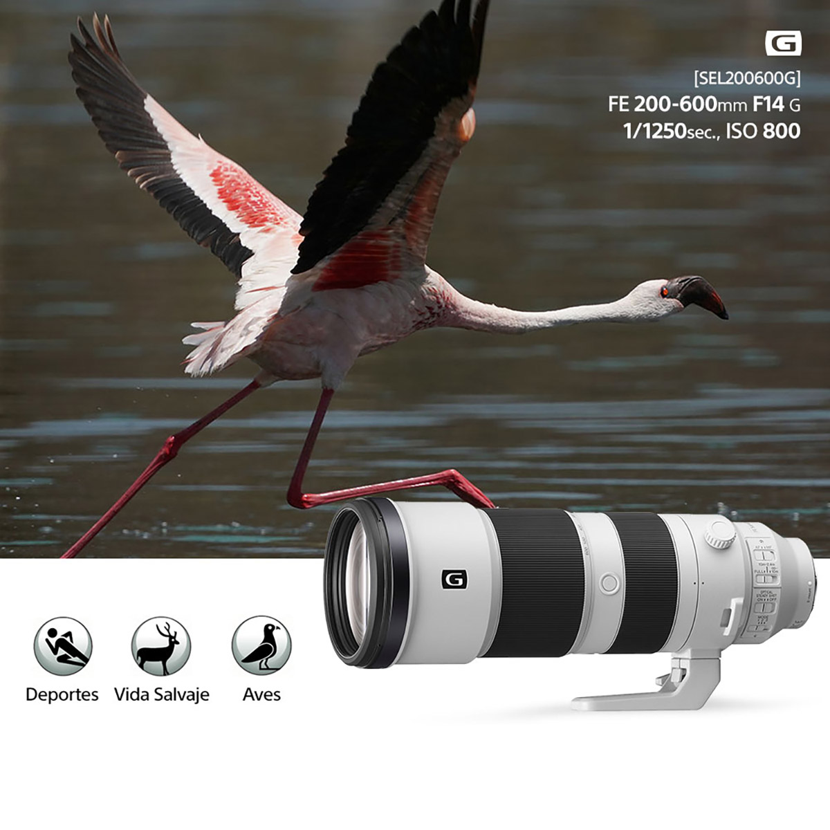 Lente Sony Fe 200-600 Mm F5.6-6.3 G Oss image number null