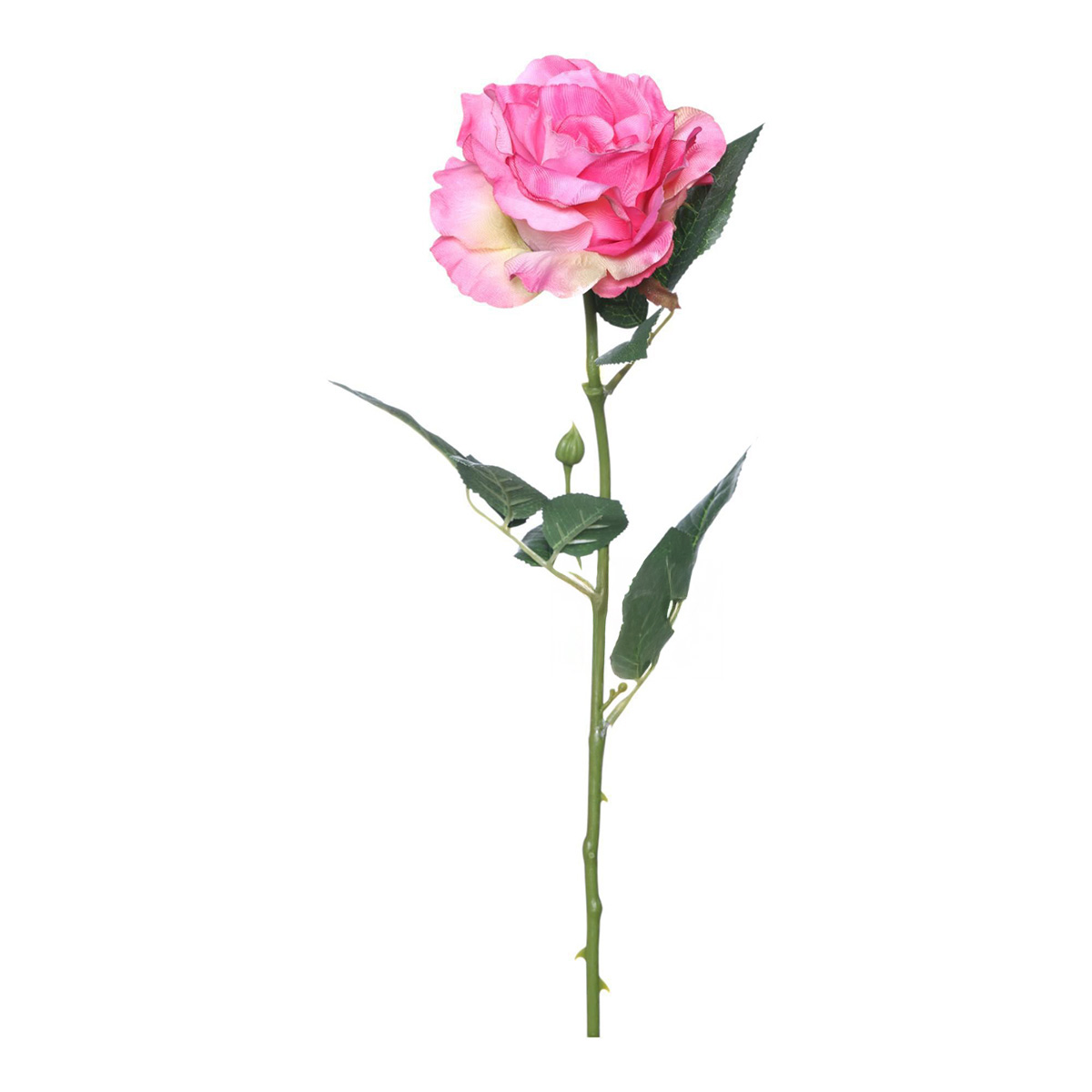 Rosa Artificial  Concepts image number null