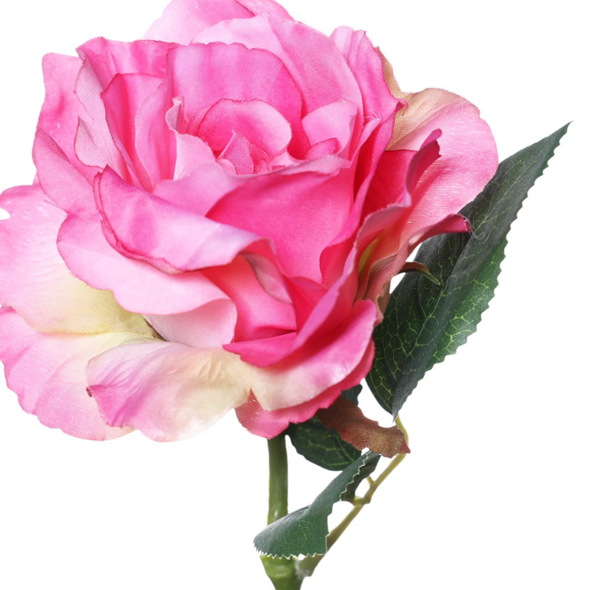 Rosa Artificial  Concepts image number null