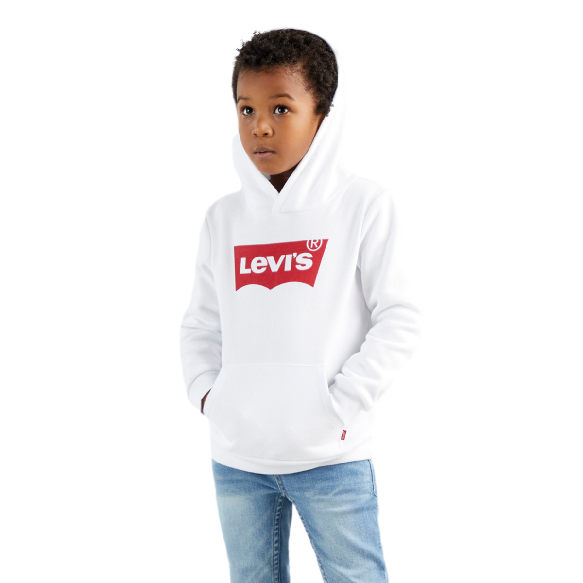 Sudadera Levi'S Batwing Screenprint Hoodieboys 4-7 Modelo  381650019 image number null