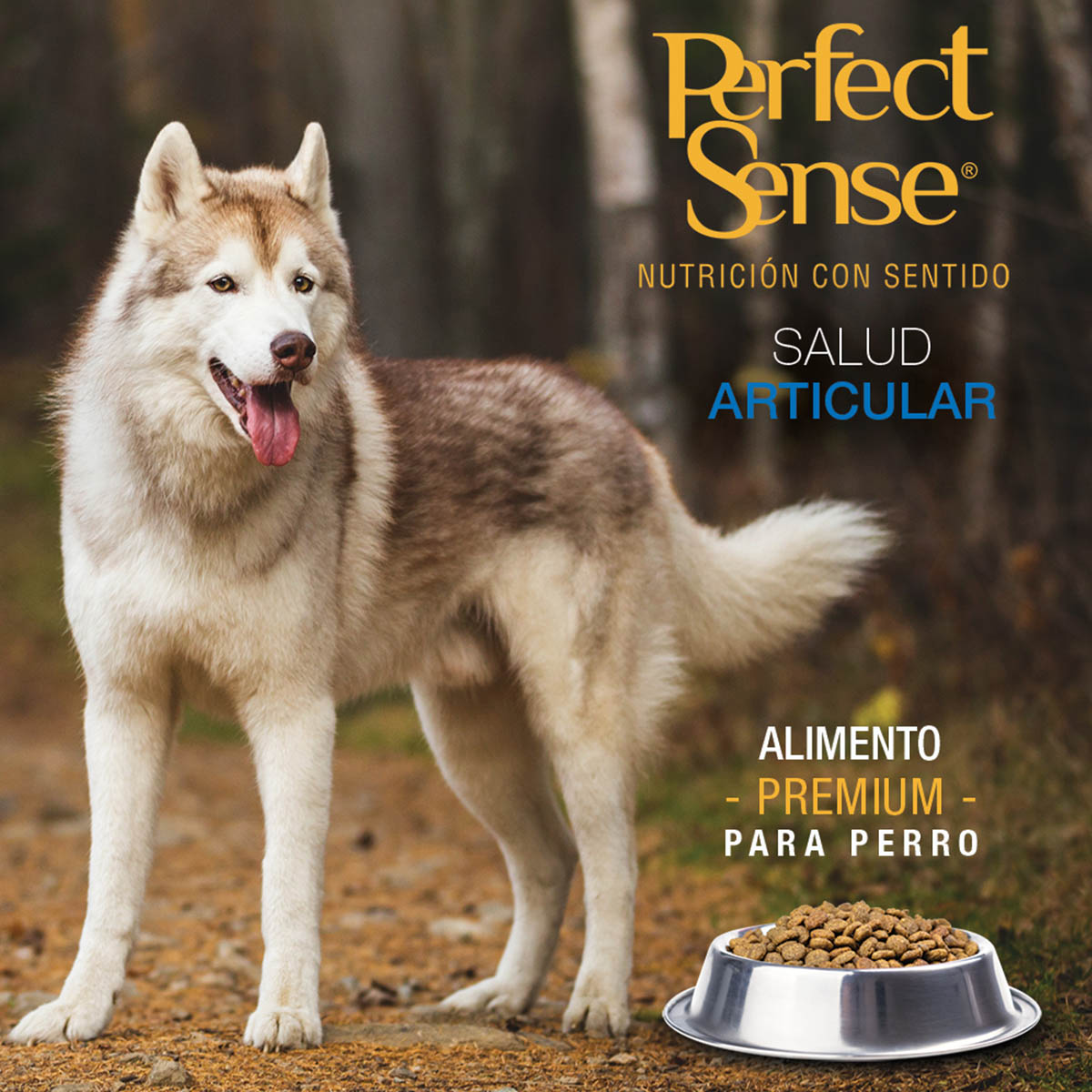 Alimento para Perro Adulto 15KG PS1835 Perfect Sense image number null
