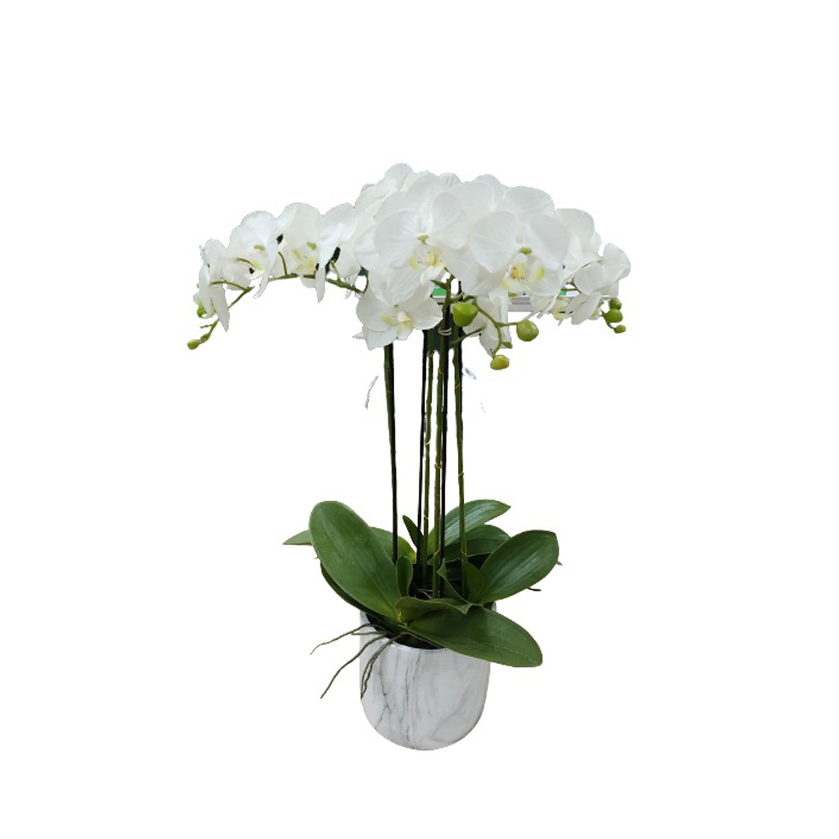 Arreglo Artificial Orchid Withe Vintage Home image number null