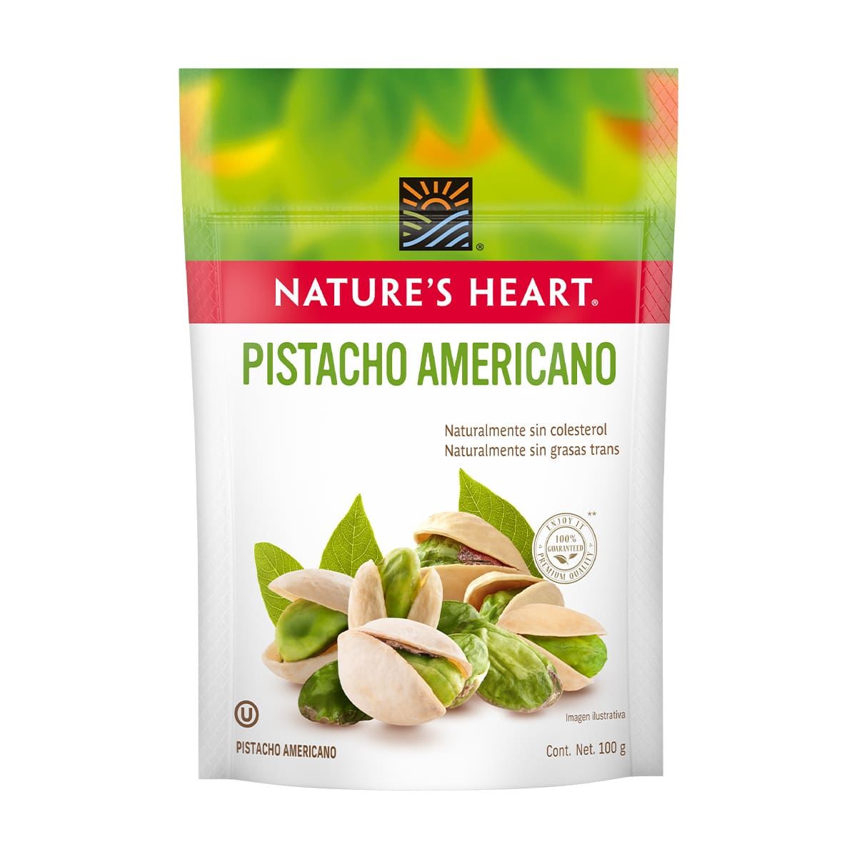 PISTACHE AMERICANO CON CASCARA NATURE S HEART 100g image number null