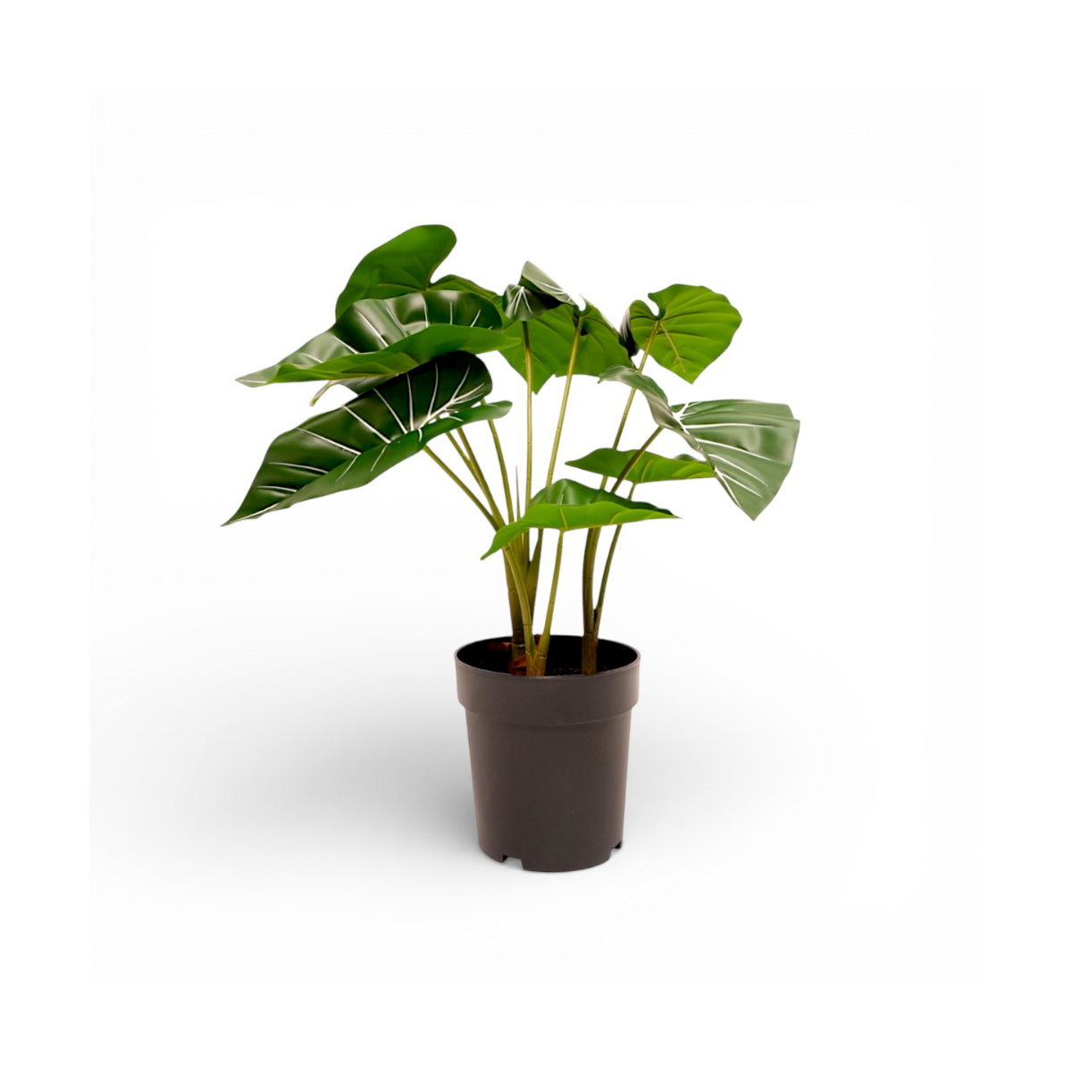 Home Nature Planta Artificial Taro Silvestre en Maceta 62 cm image number null