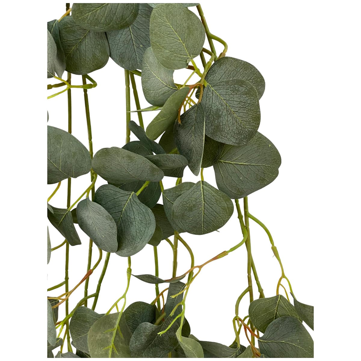 Eucalipto Decorativo Home Nature image number null