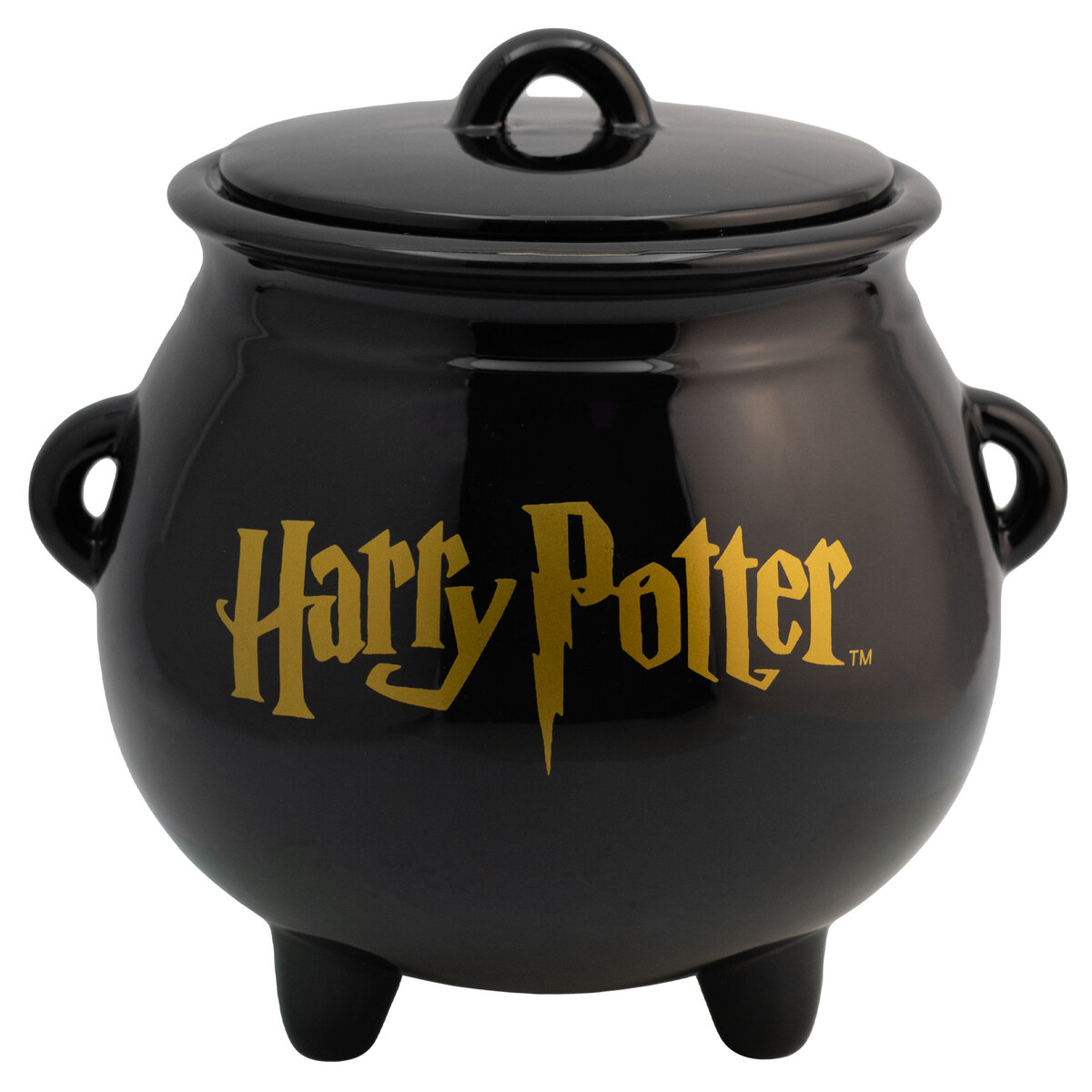 Galletero 3D De Cer&aacute;mica Harry Potter FUN KIDS image number null
