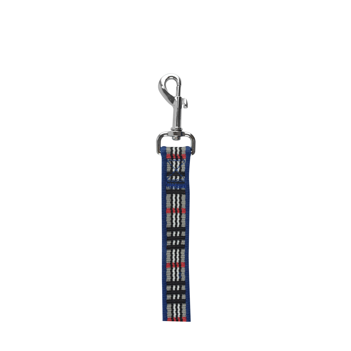 Correa para Perro Azul Berrydog Fancy Pets image number null